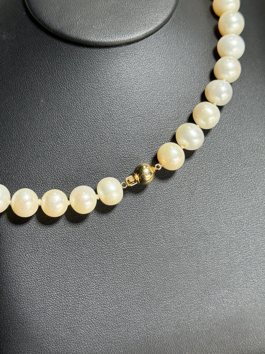 14K Yellow Gold 10mm Pearl 16” Necklace