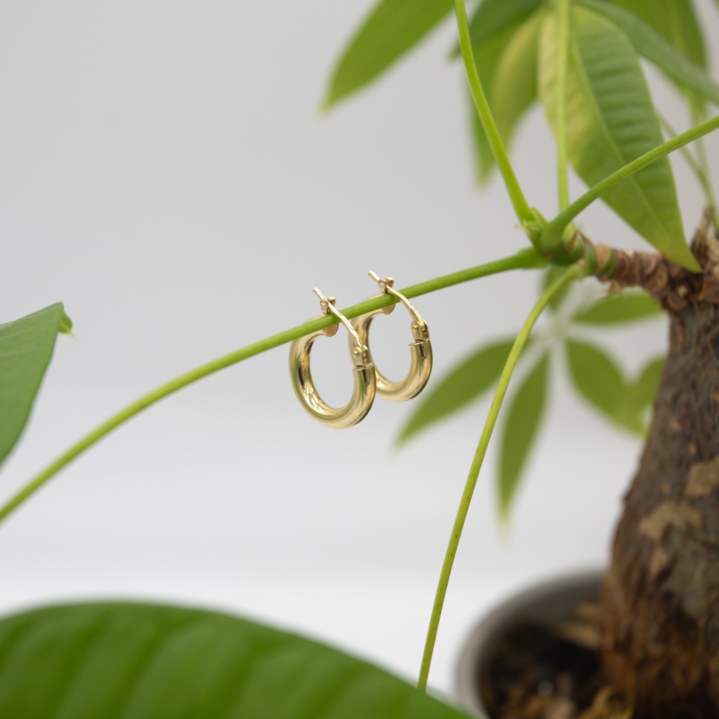 14K Yellow Gold Classic Small Polished Hoop Earrings