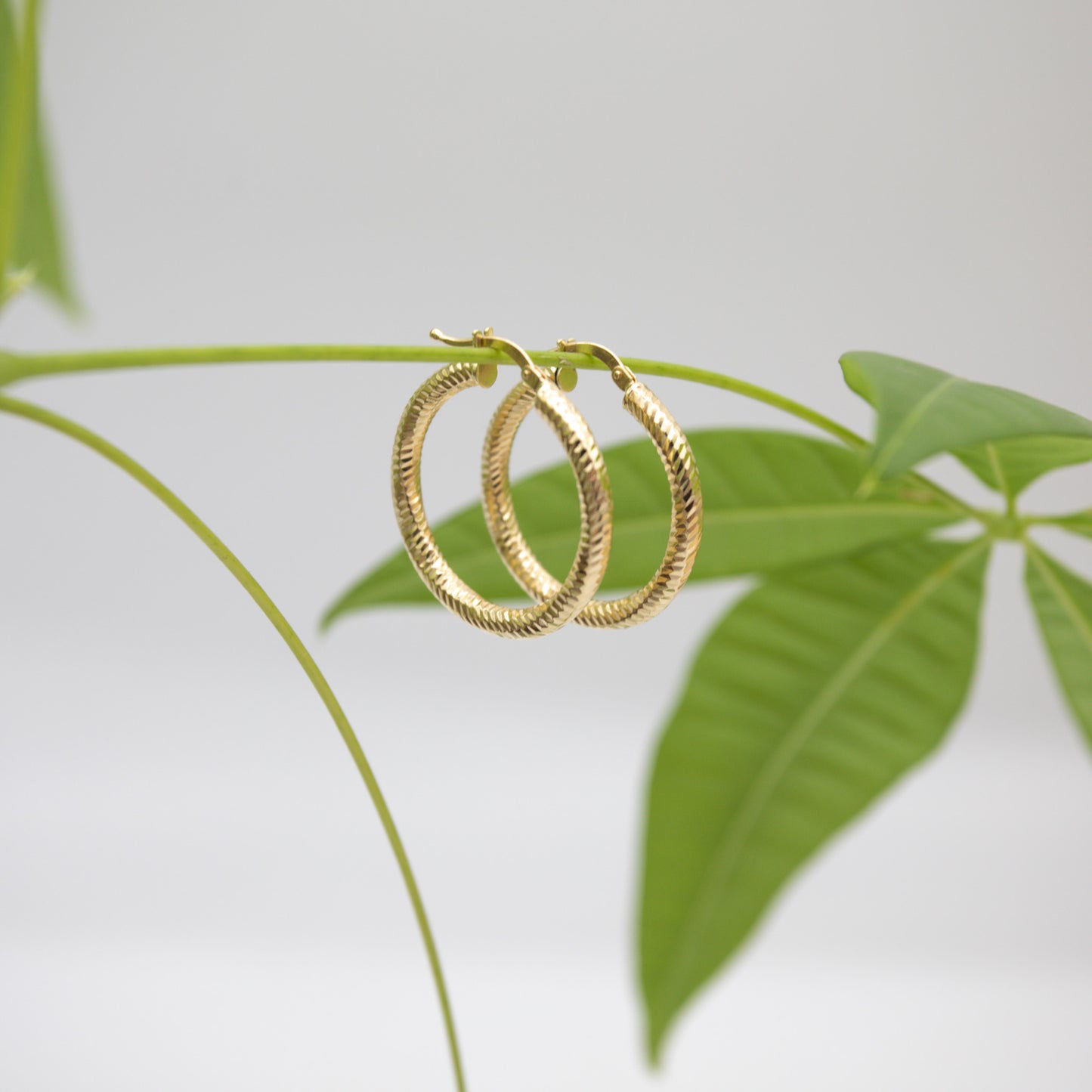 14K Yellow Gold Medium Ribbed Design Hoops