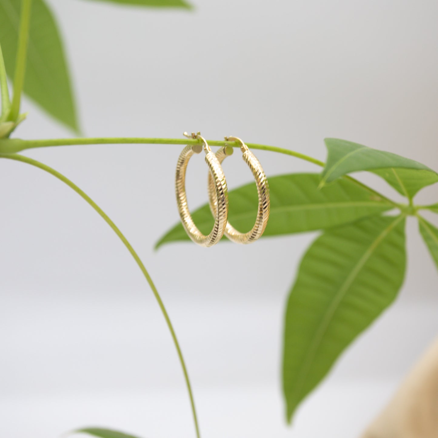 14K Yellow Gold Medium Ribbed Design Hoops