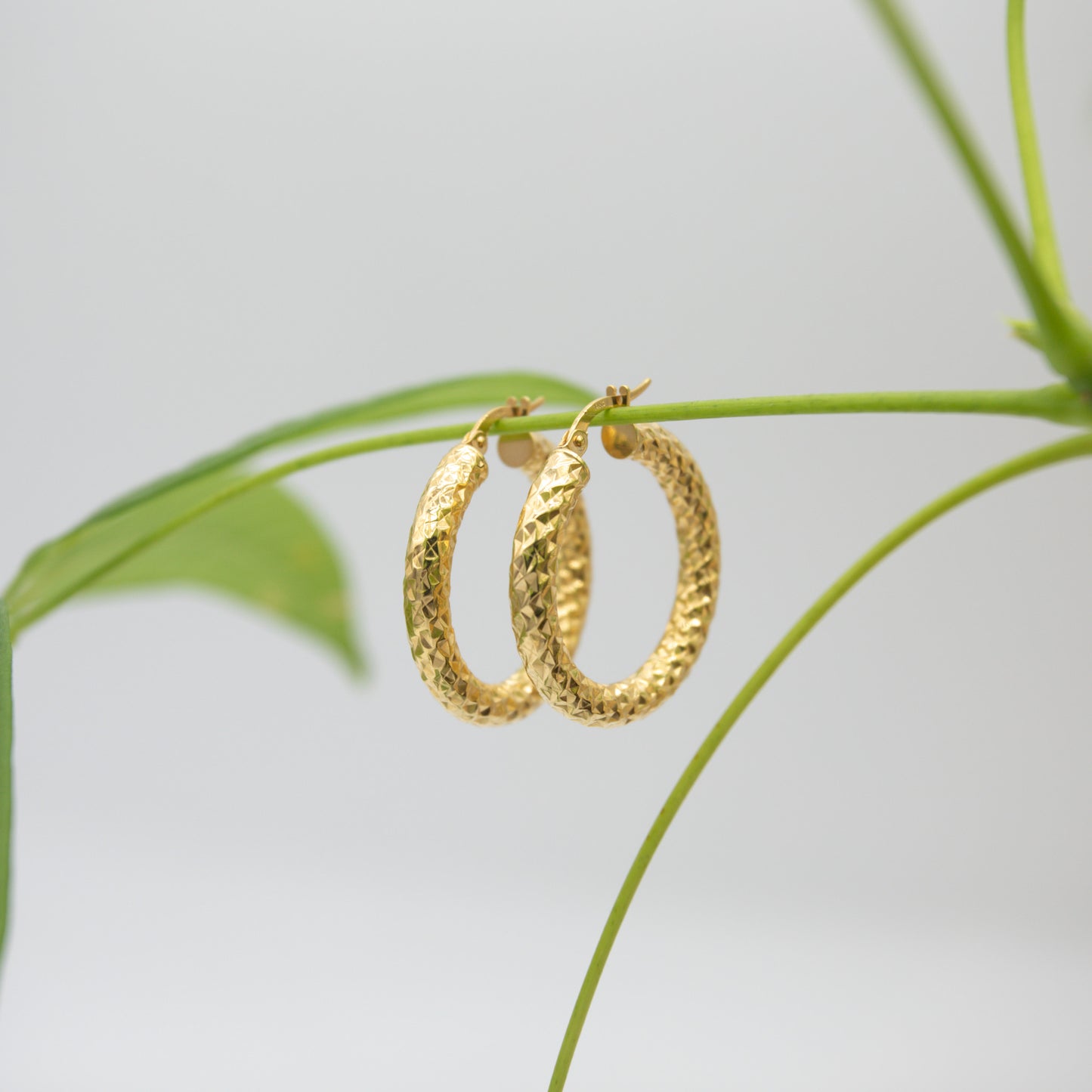 14K Yellow Gold Faceted Medium Hoops