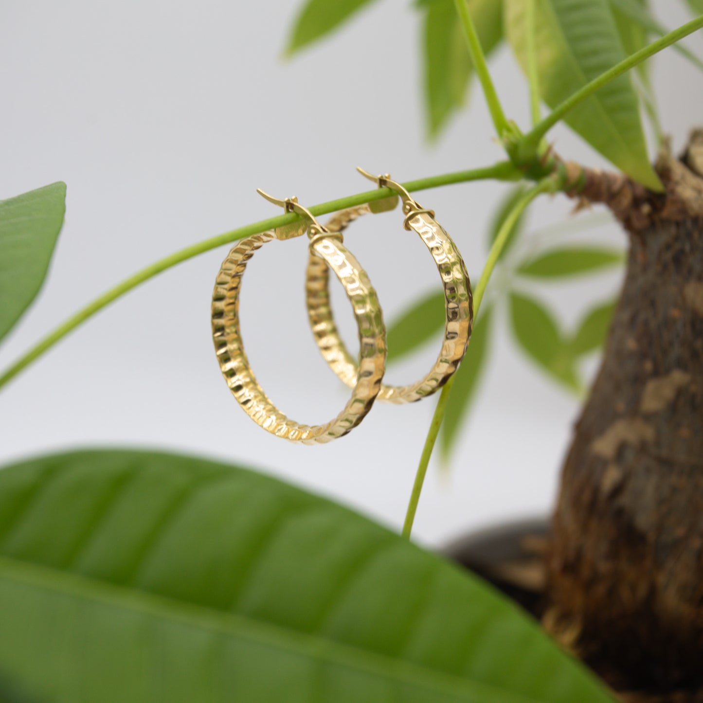 14K Yellow Gold Thick Faceted Hoops