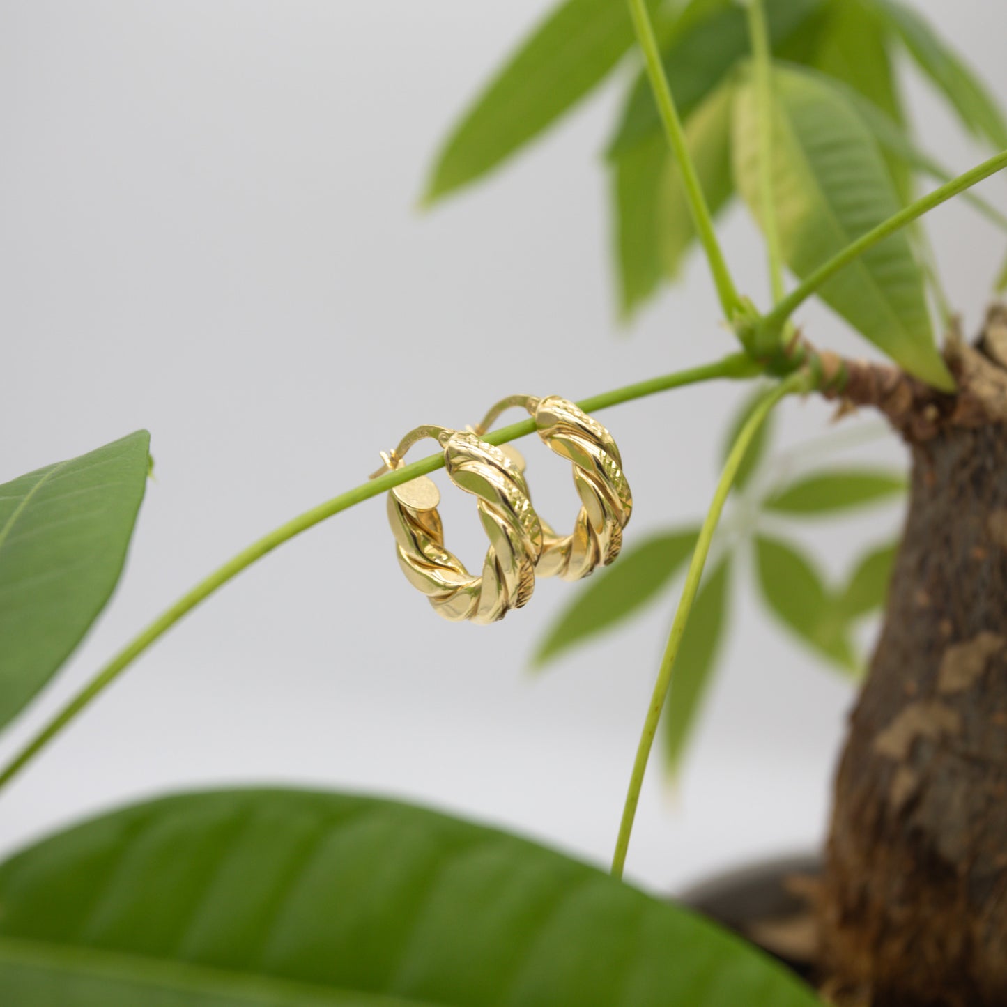 14K Yellow Gold Thick Flat Spiral Hoops