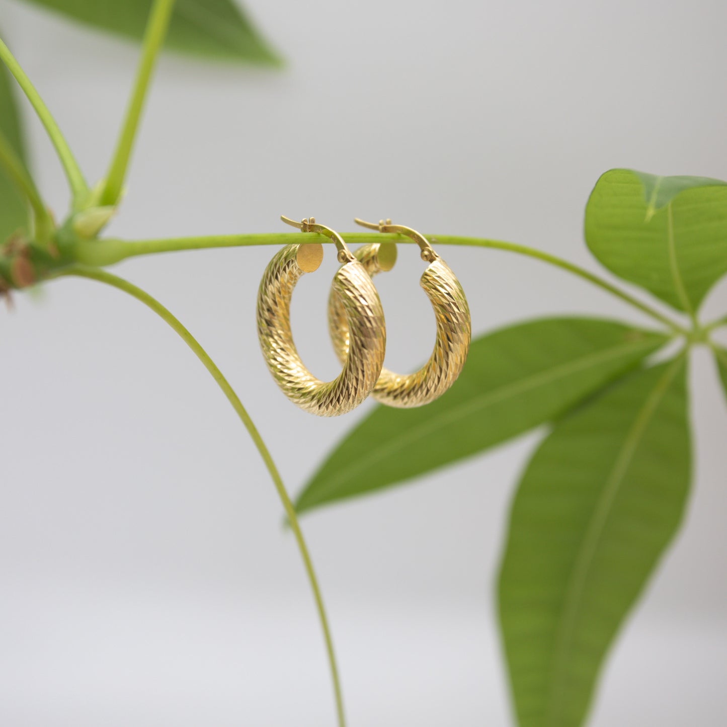 14K Yellow Gold Diamond Cut Round Hoop Earrings